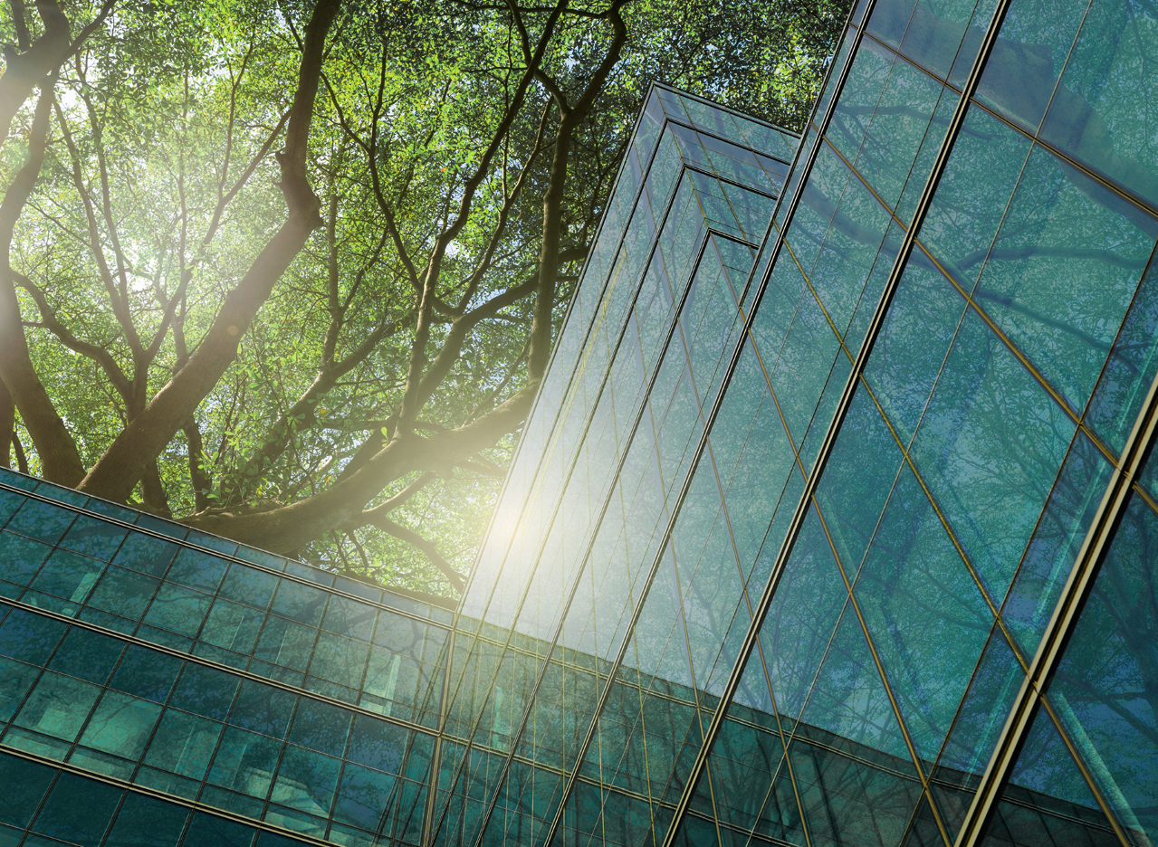 Glass builiding with trees overhead reflecting sunlight