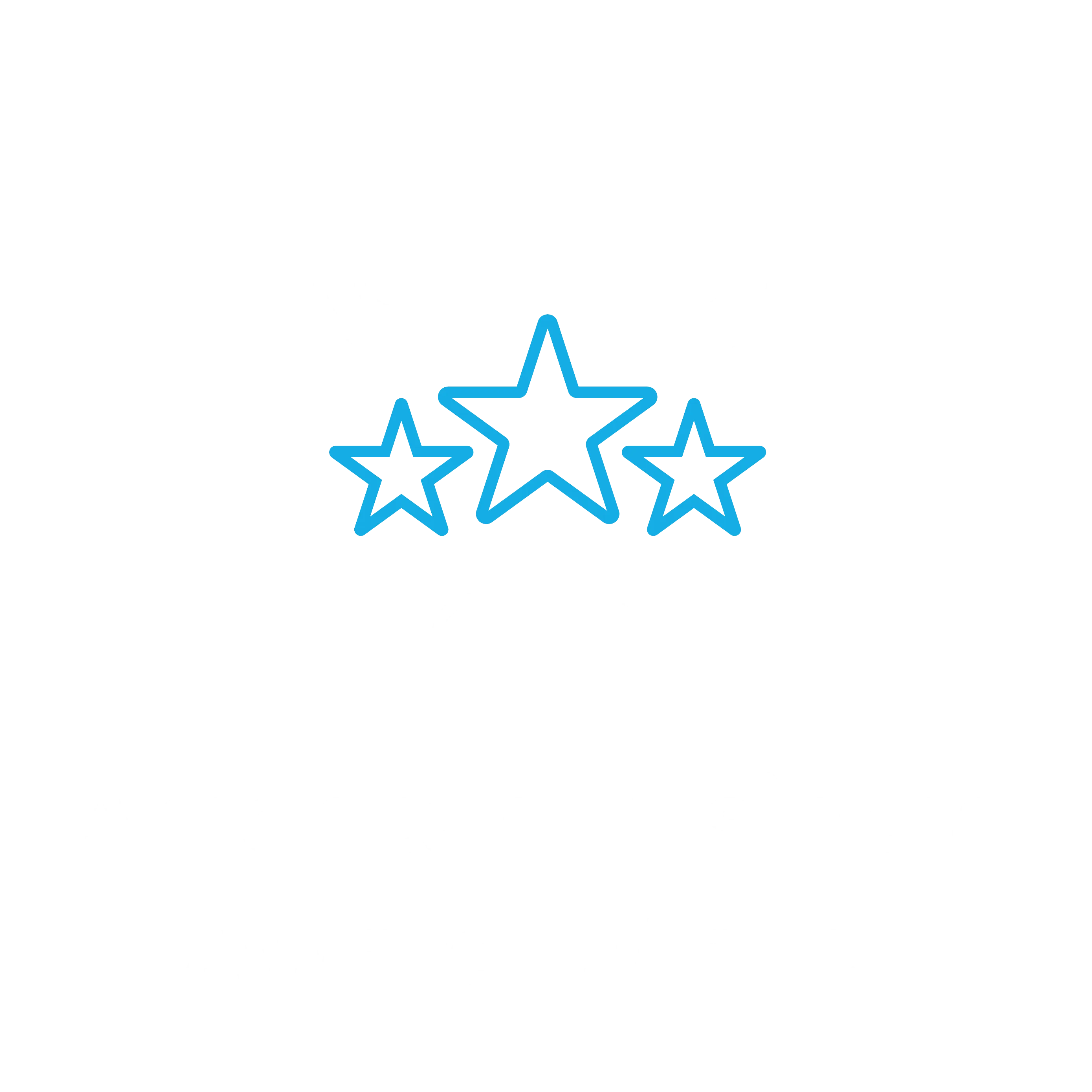 American Business Award Winner
