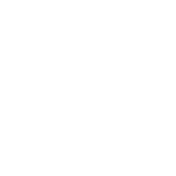 white check icon