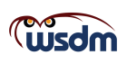 Logo for WSDM