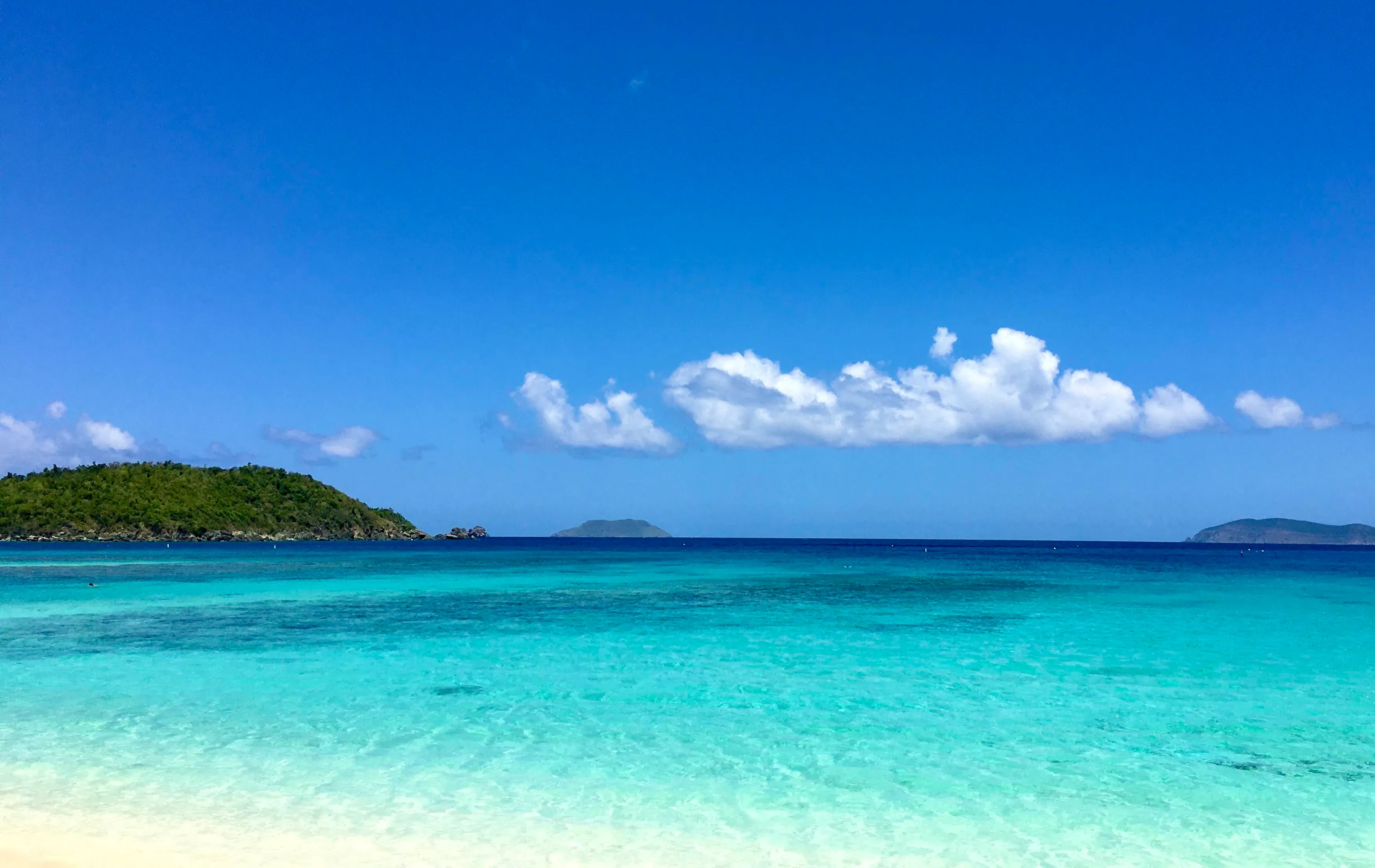 Trunk Bay, St. John VI