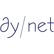 DyNet