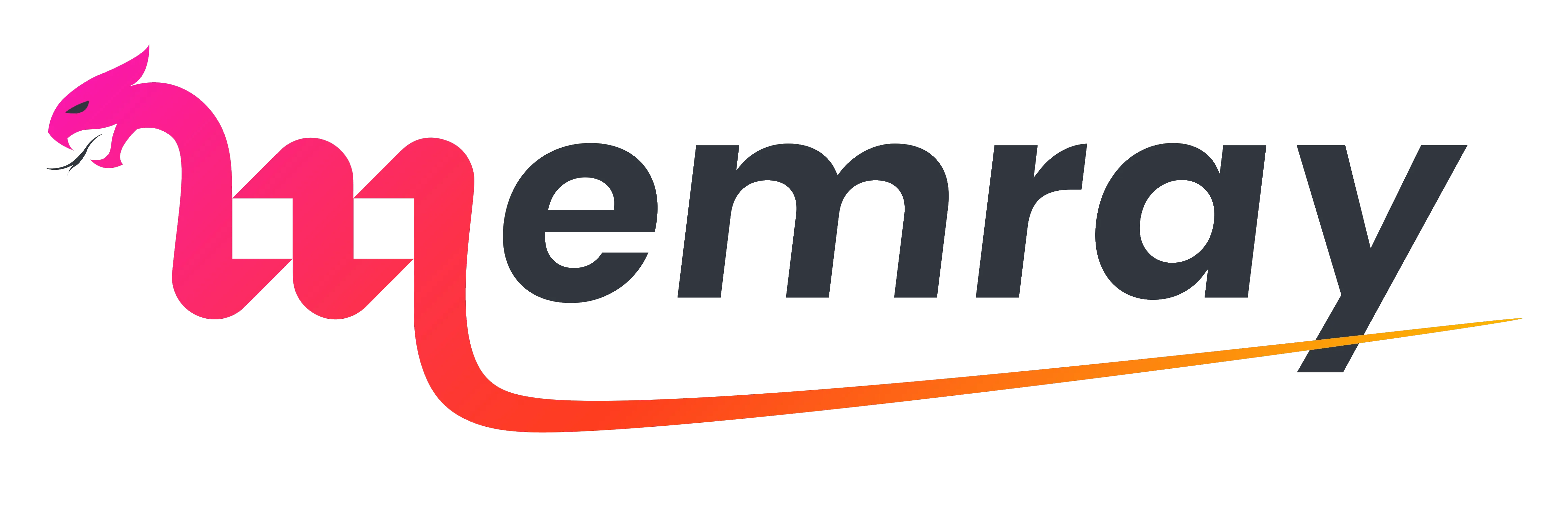 Memray logo