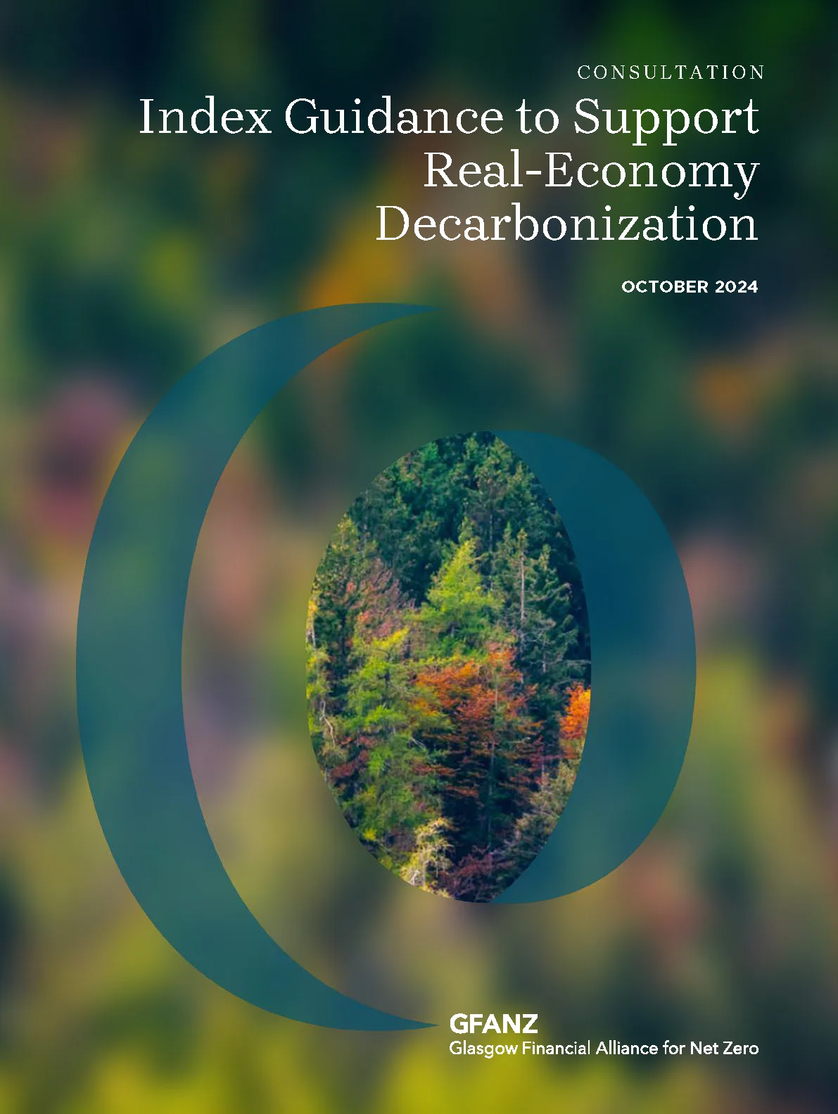 Cover to Index Guidance to Support Real-Economy Decarbonization