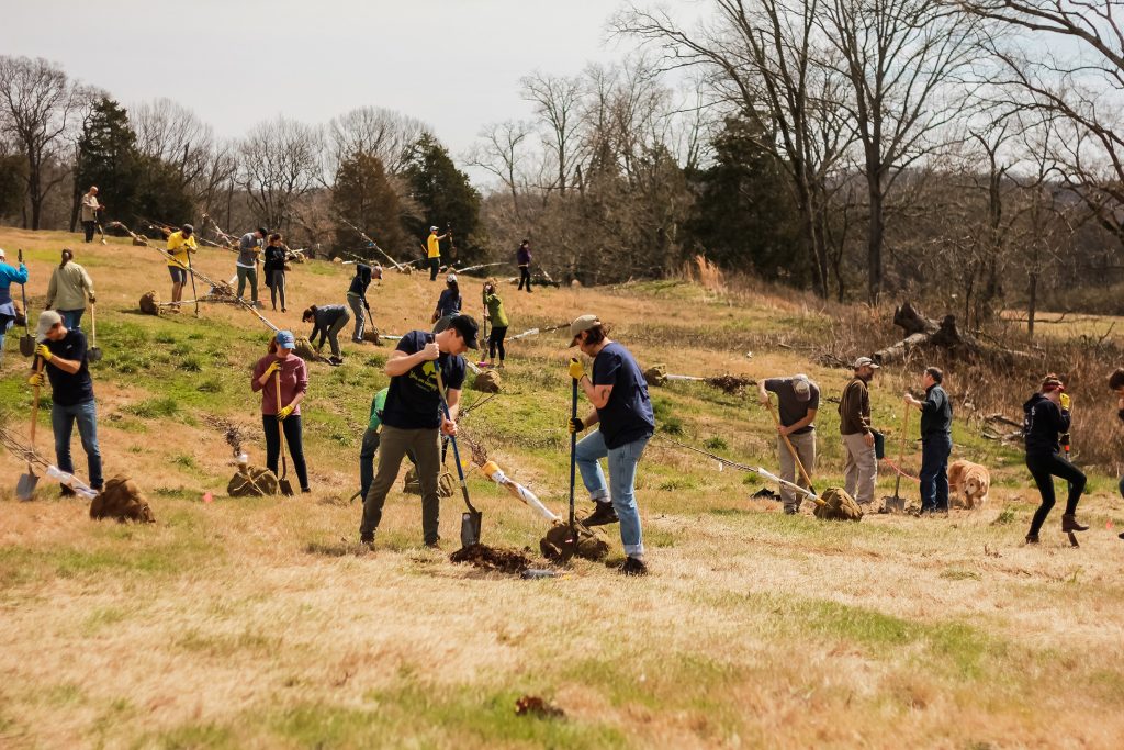 Planting 500,000 Trees in Nashville Bloomberg Associates