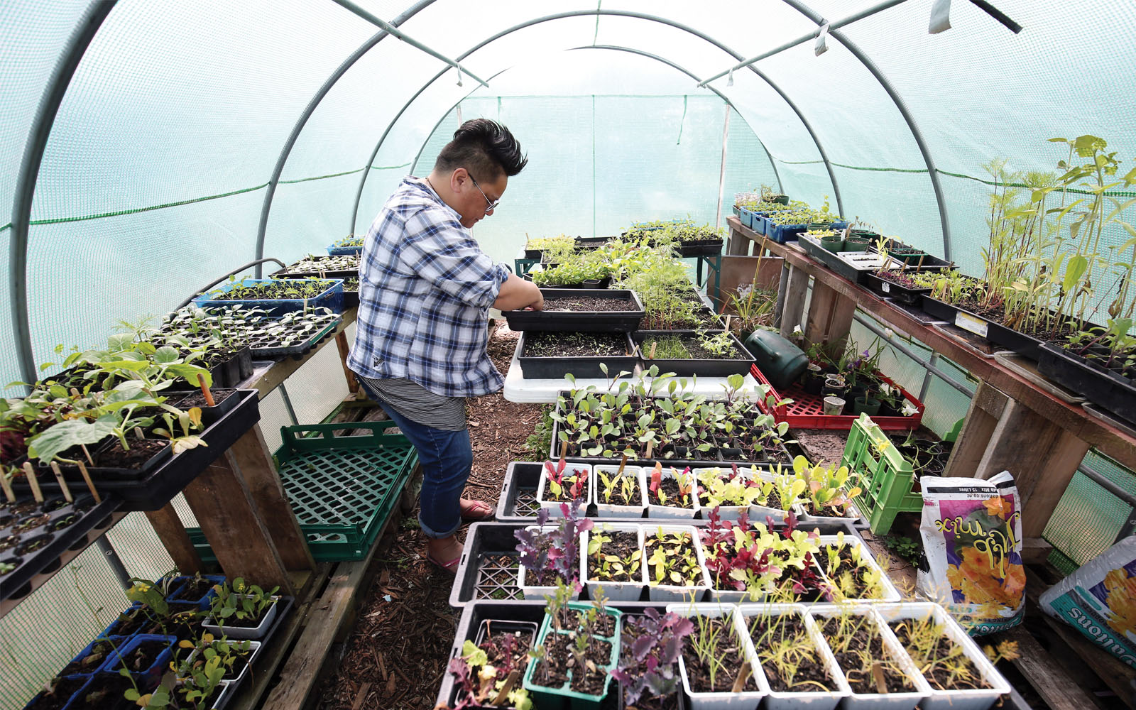 Seedlings grow in the Papatuanuku Kokiri Marae, a communal gathering place in Auckland, New Zealand, where people learn how to reduce waste and grow their own food. Auckland was recognized by C40 for its commitment to reducing landfill waste.