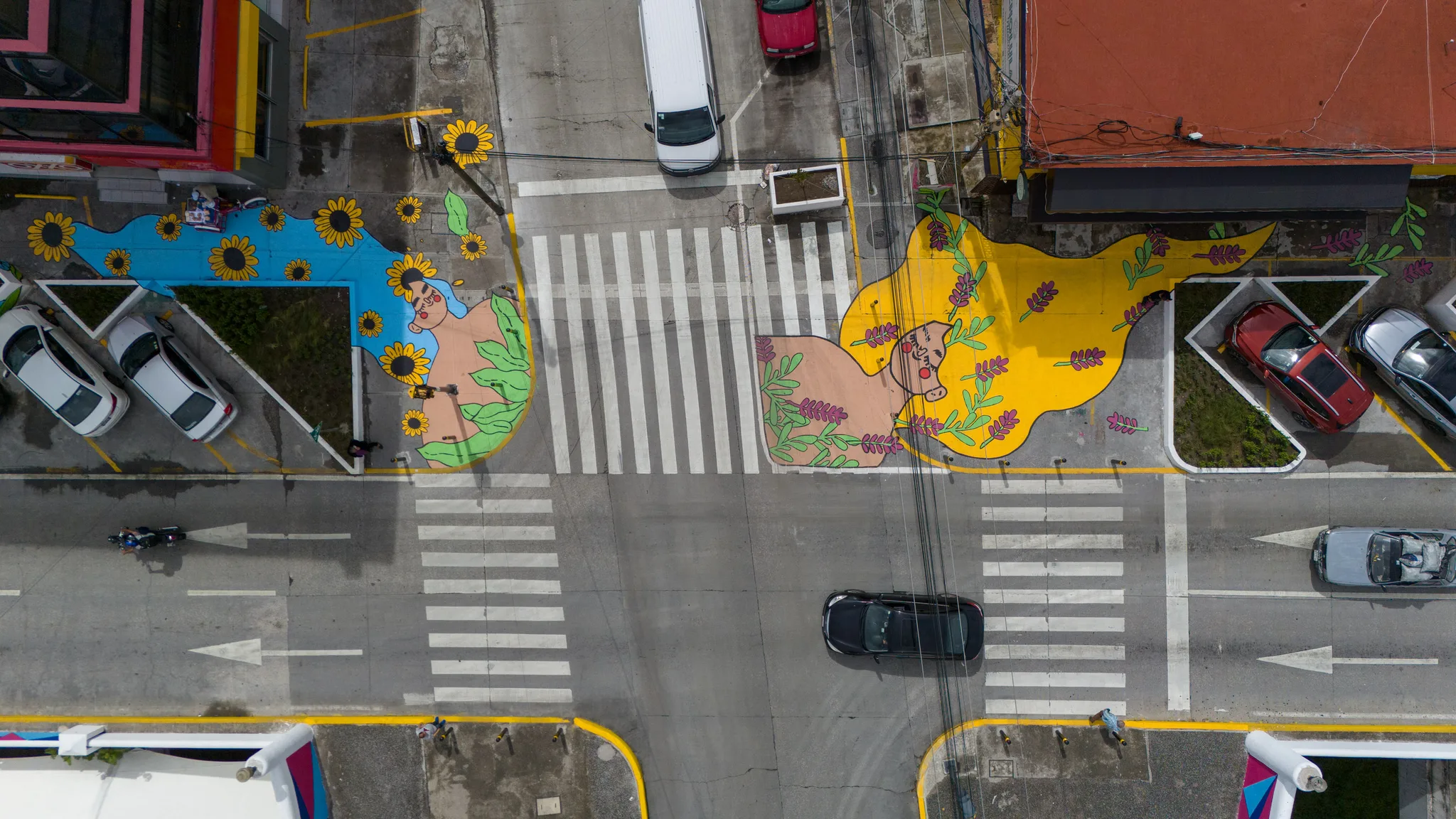 Asphalt Art Initiative “after” photos in Puebla, Mexico, September 16, 2024.