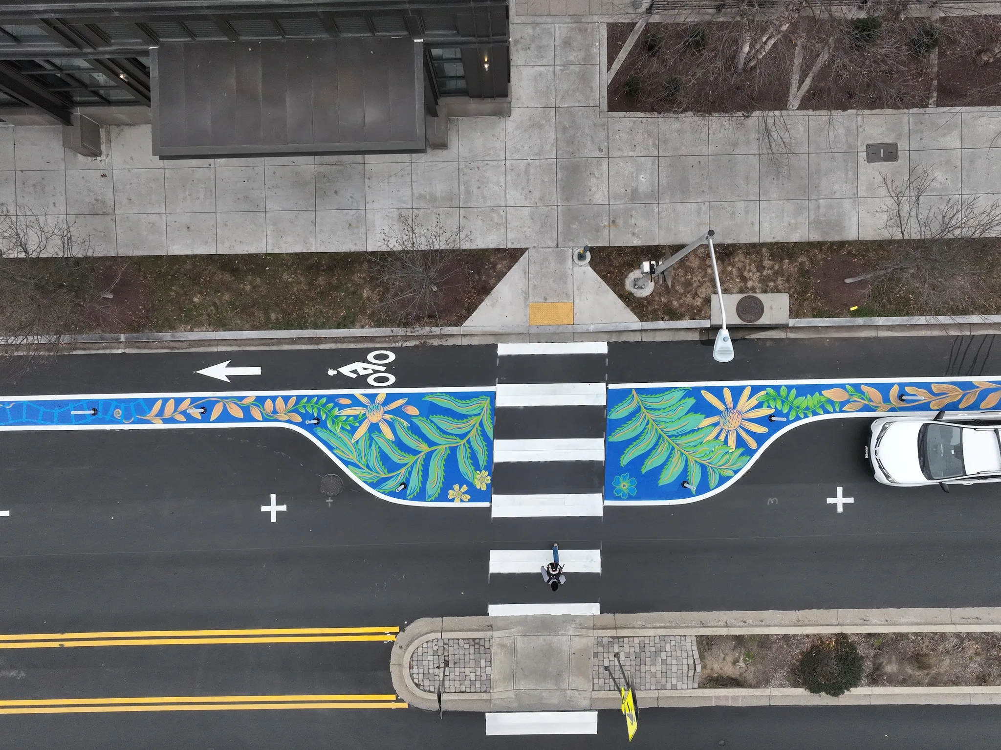 Asphalt Art Initiative “after” photos in Rockville, Maryland, December 15, 2024.