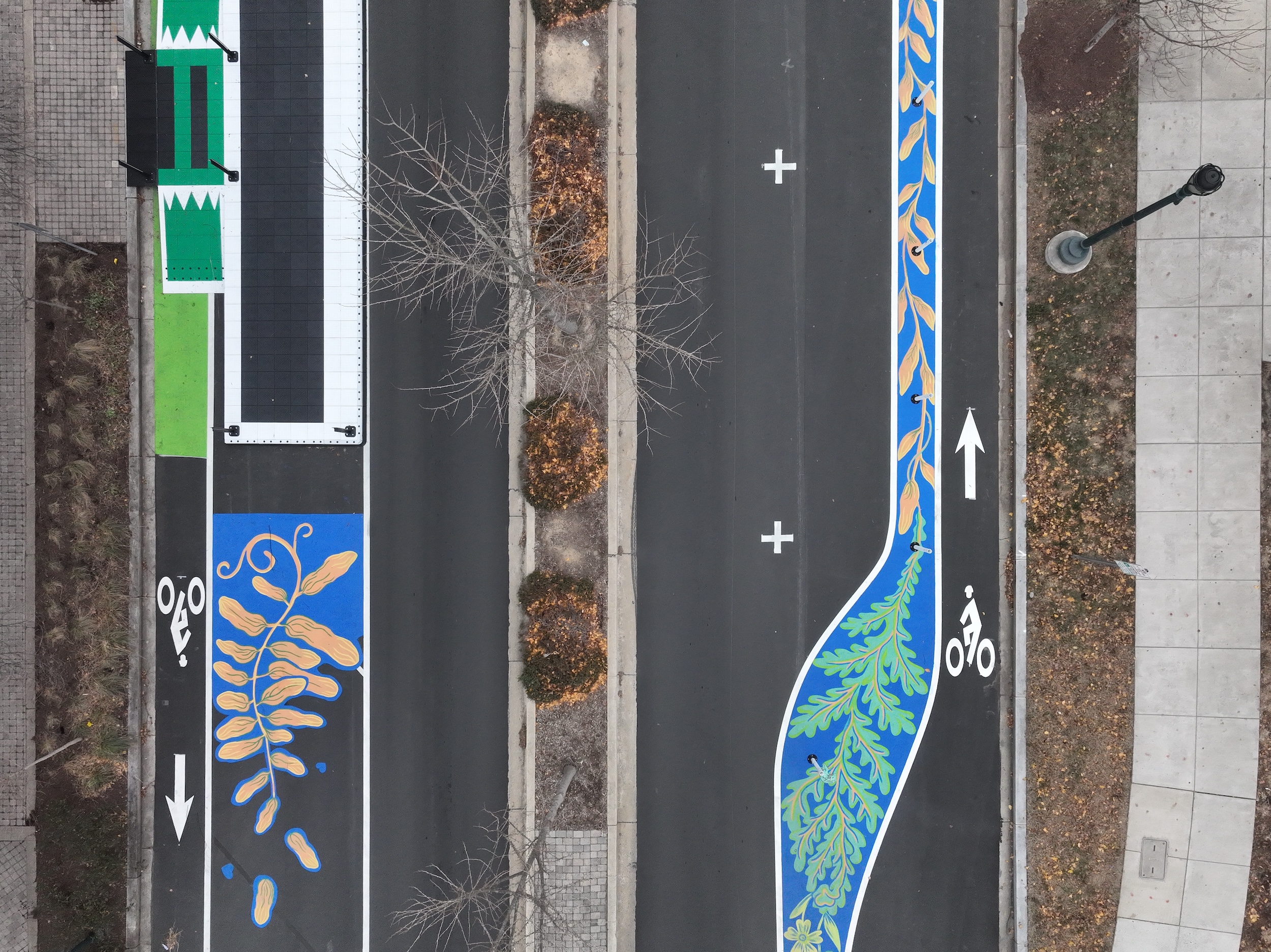 Asphalt Art Initiative “after” photos in Rockville, Maryland, December 15, 2024.
