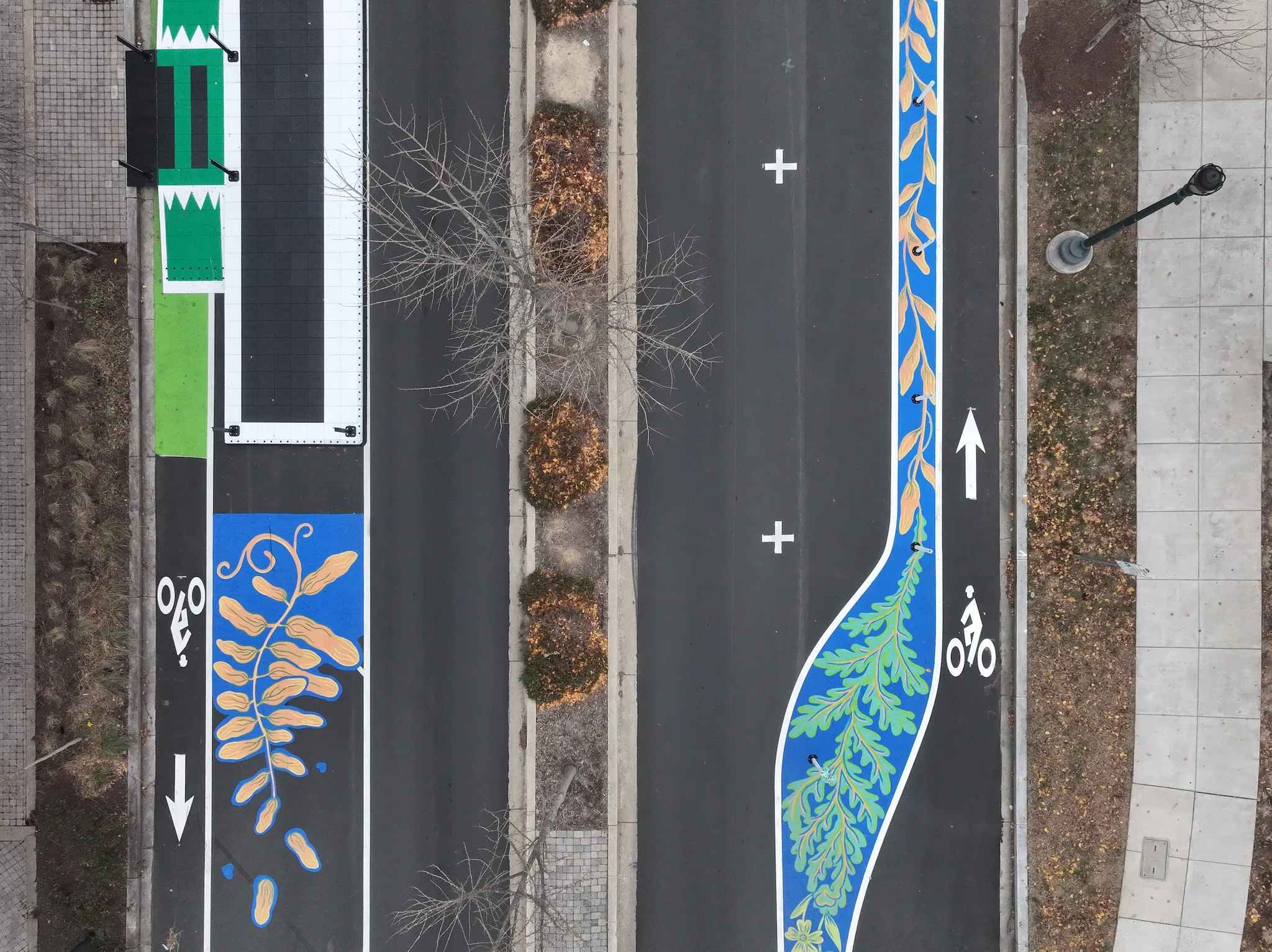 Asphalt Art Initiative “after” photos in Rockville, Maryland, December 15, 2024.