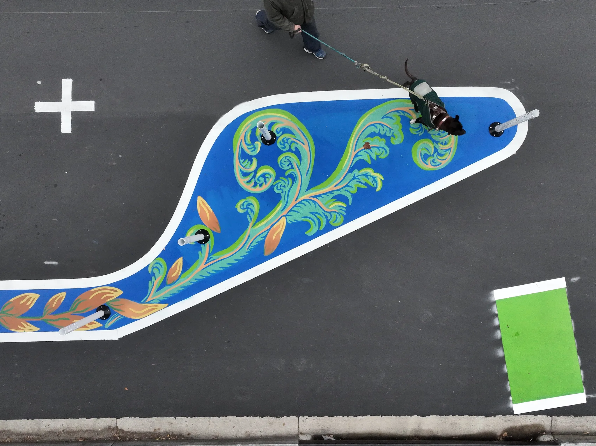Asphalt Art Initiative “after” photos in Rockville, Maryland, December 15, 2024.