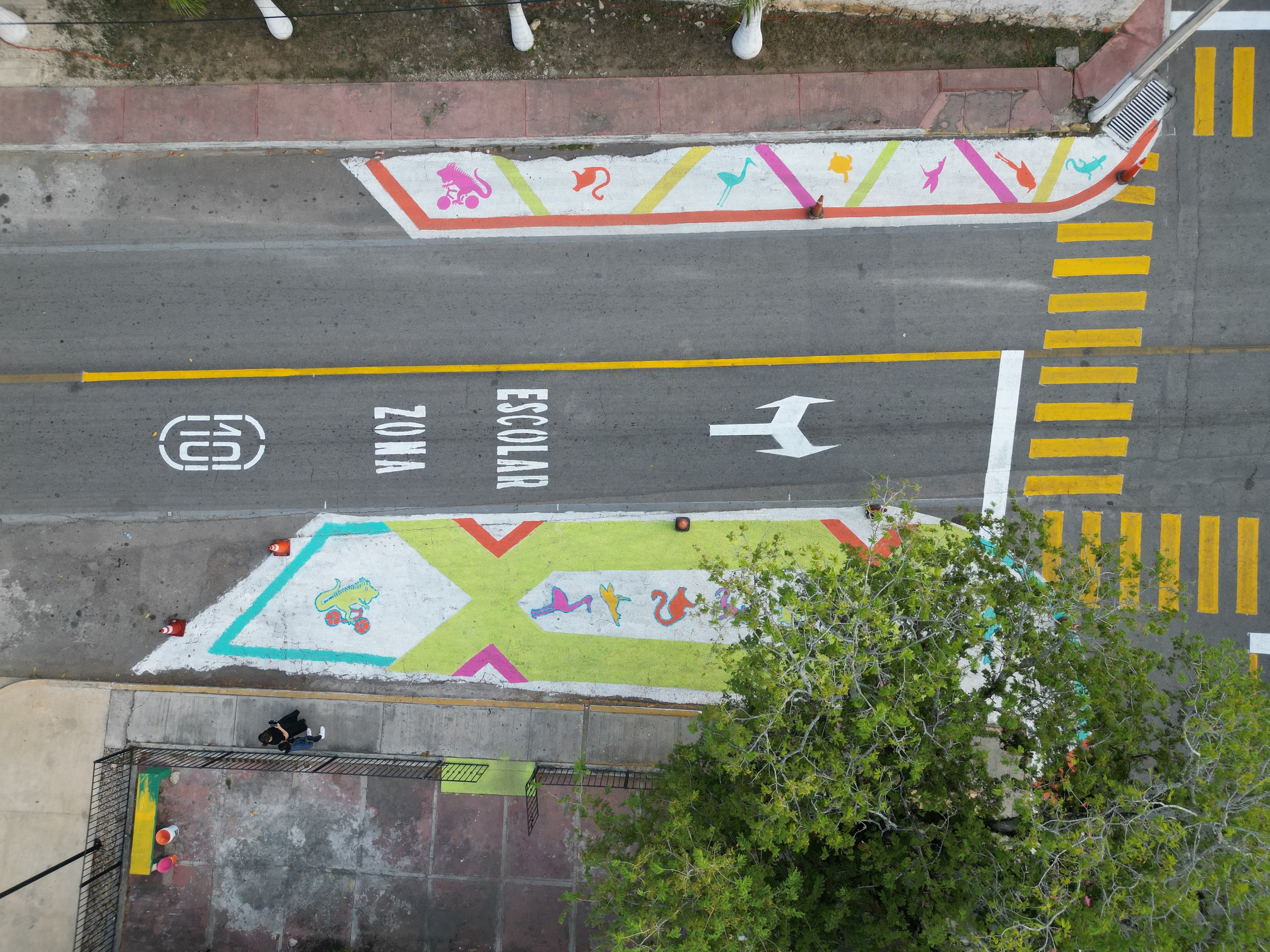 Asphalt Art Initiative “after” photos in Mococha, Mexico, Thursday, March 13, 2025.