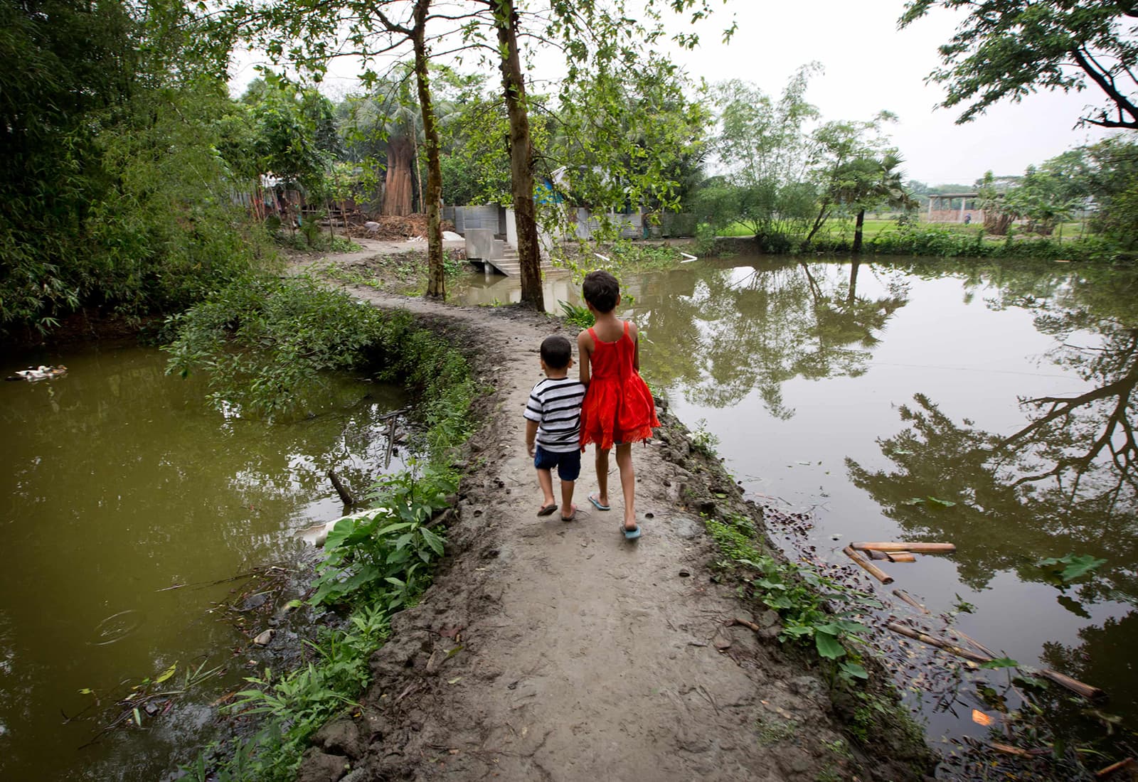 Children in Matlab, Bangladesh walk to their new community daycare centers, part of a Bloomberg supported Johns Hopkins University study to prevent drownings.