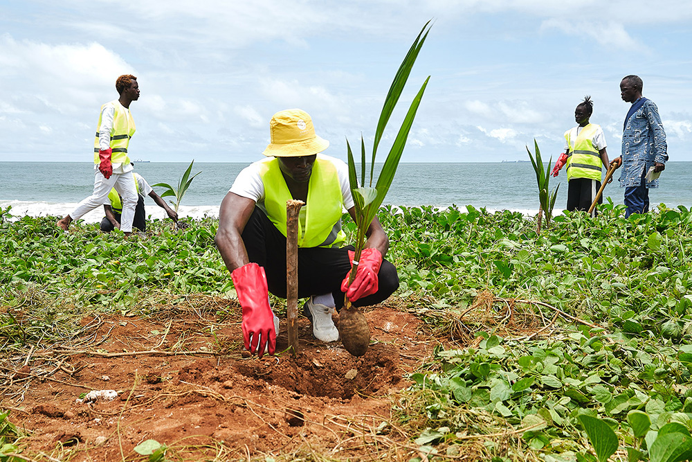 Workers plant trees as part of a program to restore 2,500 acres of tree coverage.