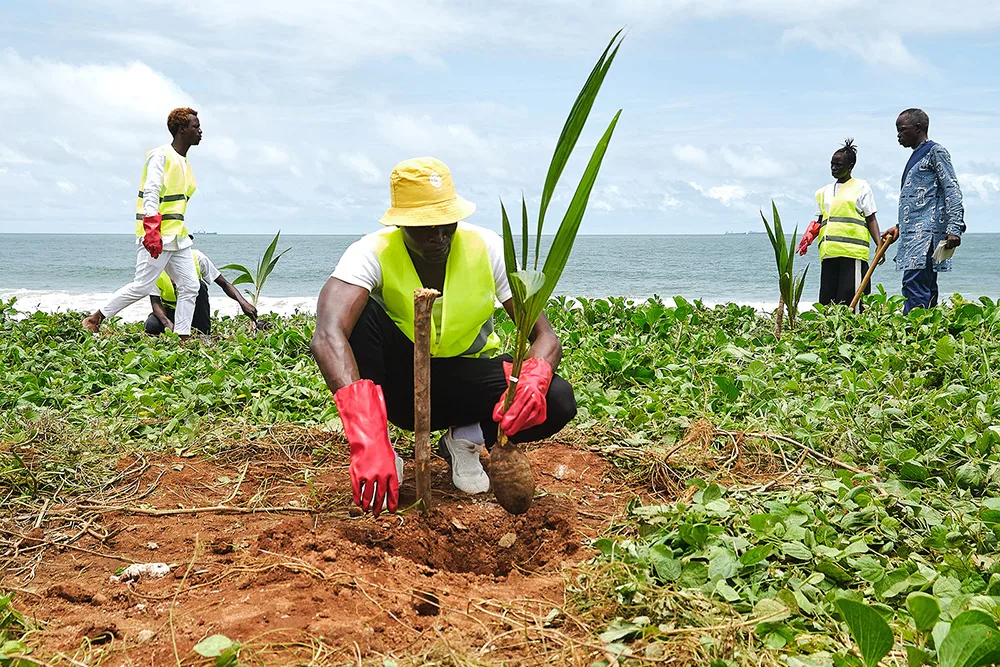 Workers plant trees as part of a program to restore 2,500 acres of tree coverage.