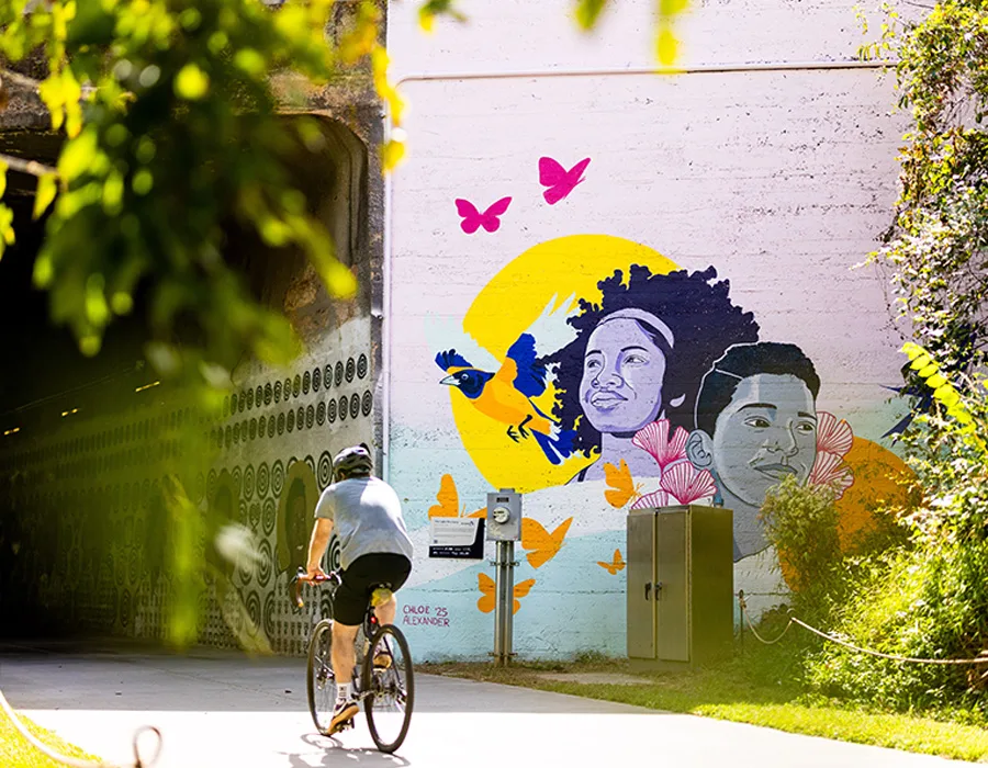 Performances, murals, and events addressing healthcare disparities.