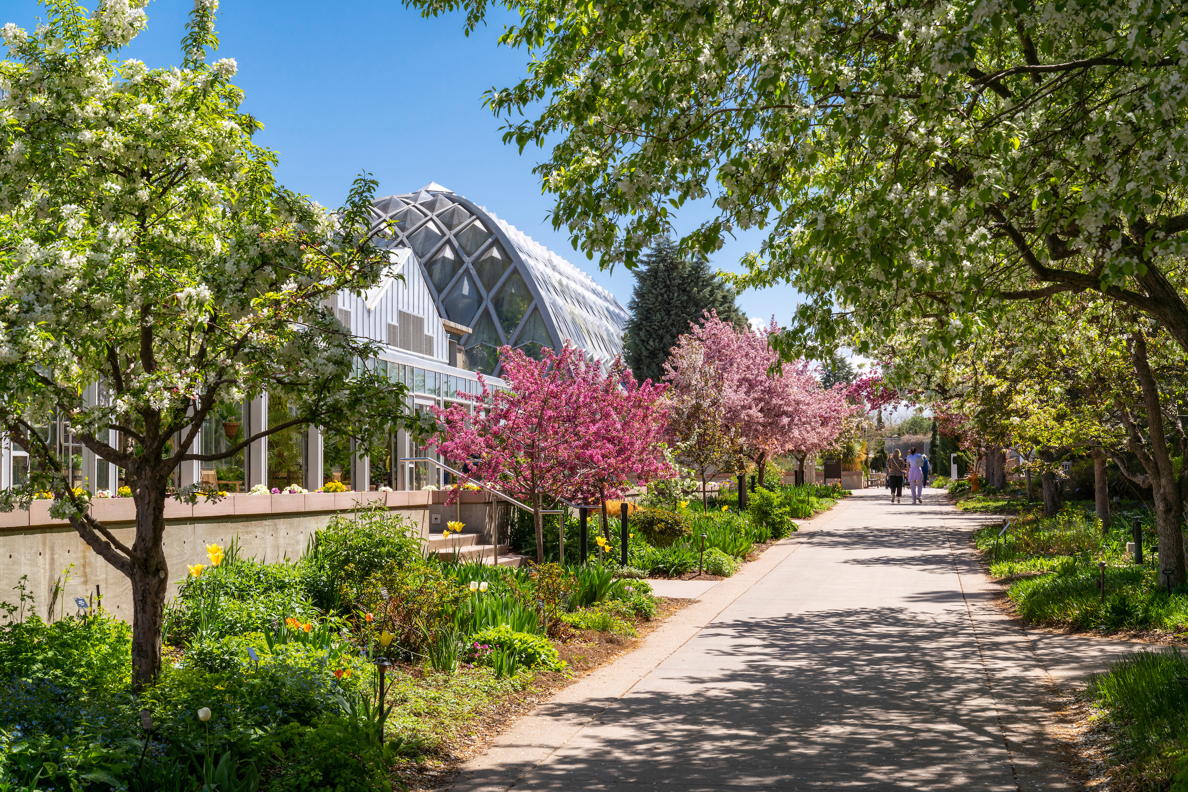 Photo of Denver Botanical Gardens exterior in the spring
