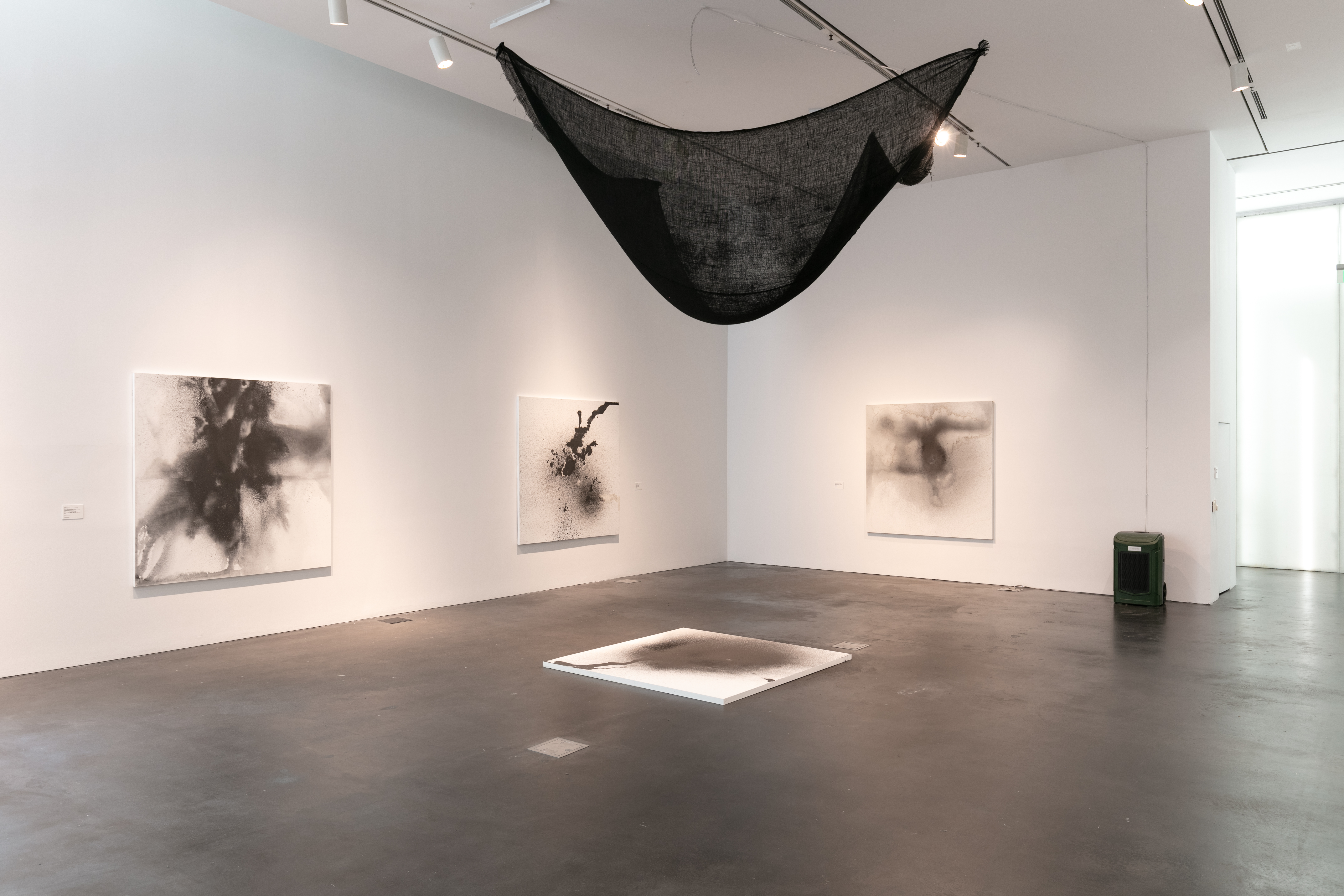 Photo of monochrome artworks in the Gala Porras-Kim: A Hand in Nature exhibitions