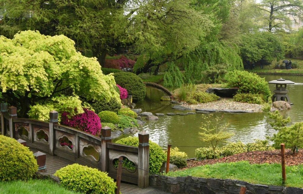 Color photo of Brooklyn Botanical Garden