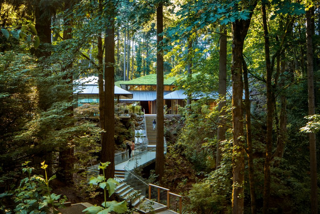 The Entry Garden pathway leading to the Cultural Village.