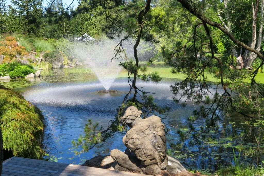 The Livingstone Lake at VanDusen Botanic Garden