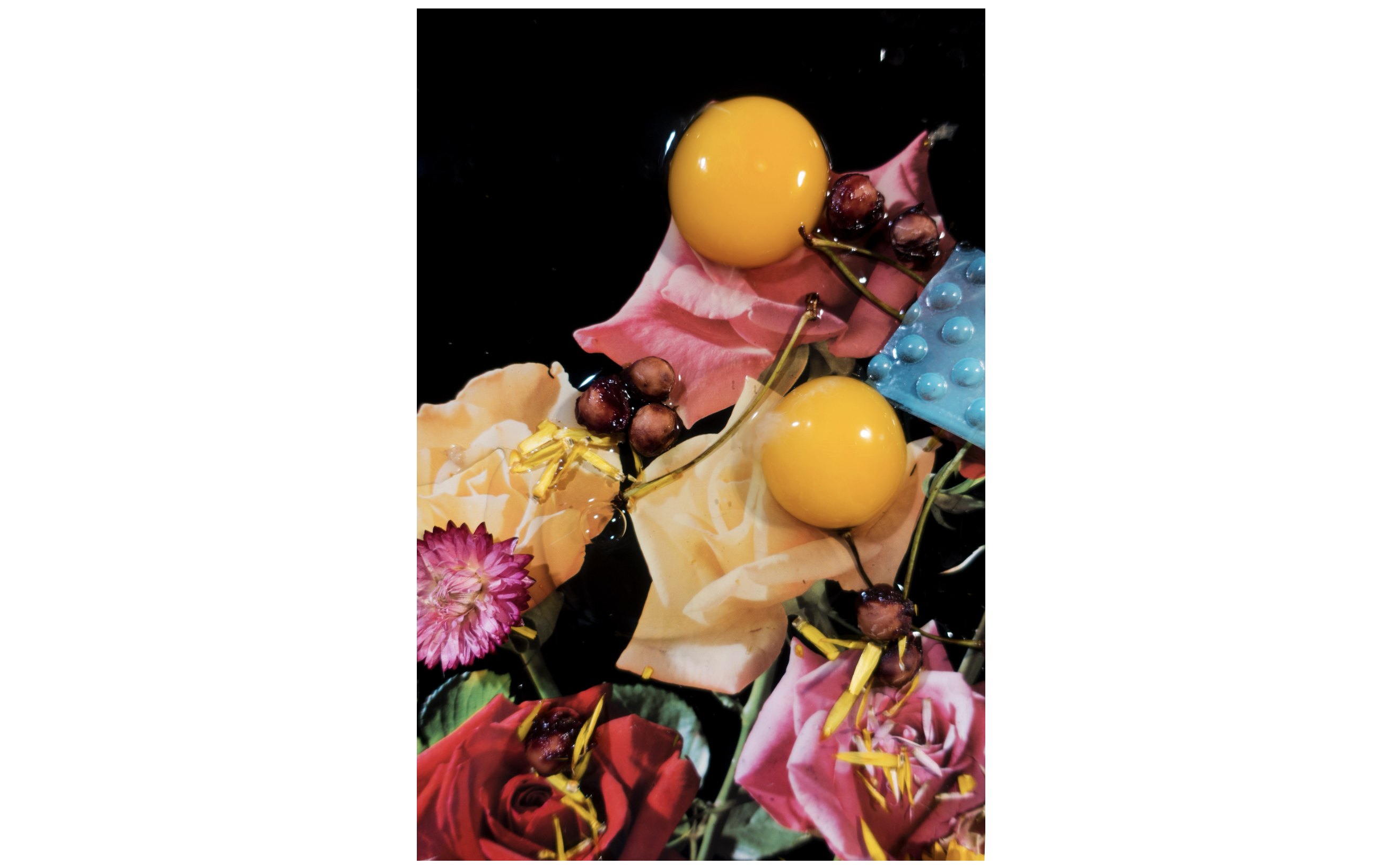 A still life with a black background and flowers, two egg yolks and cherry pips