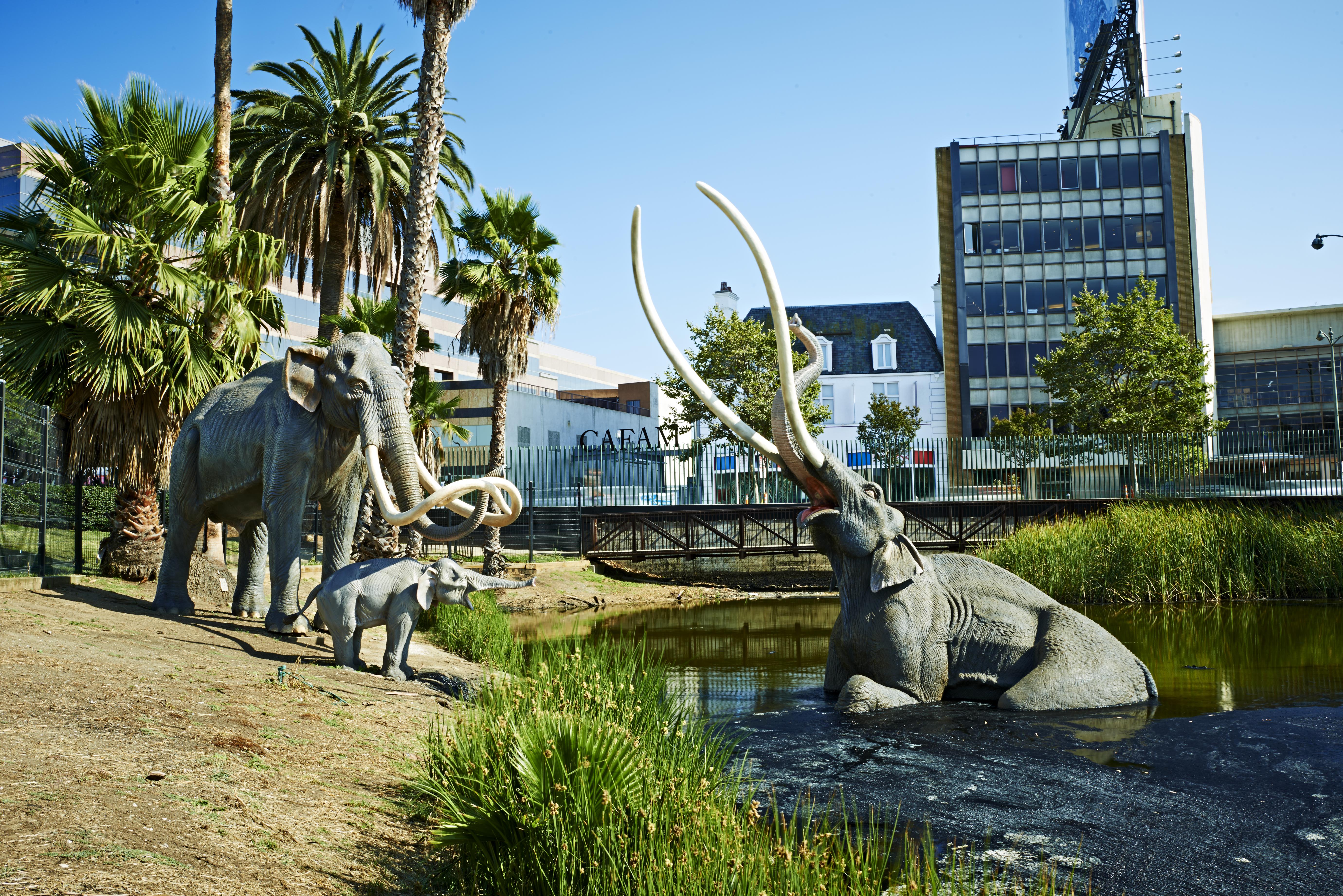 Life-sized Columbian mammoths watch from the shore of the Lake Pit as the asphalt claims another mammoth victim.