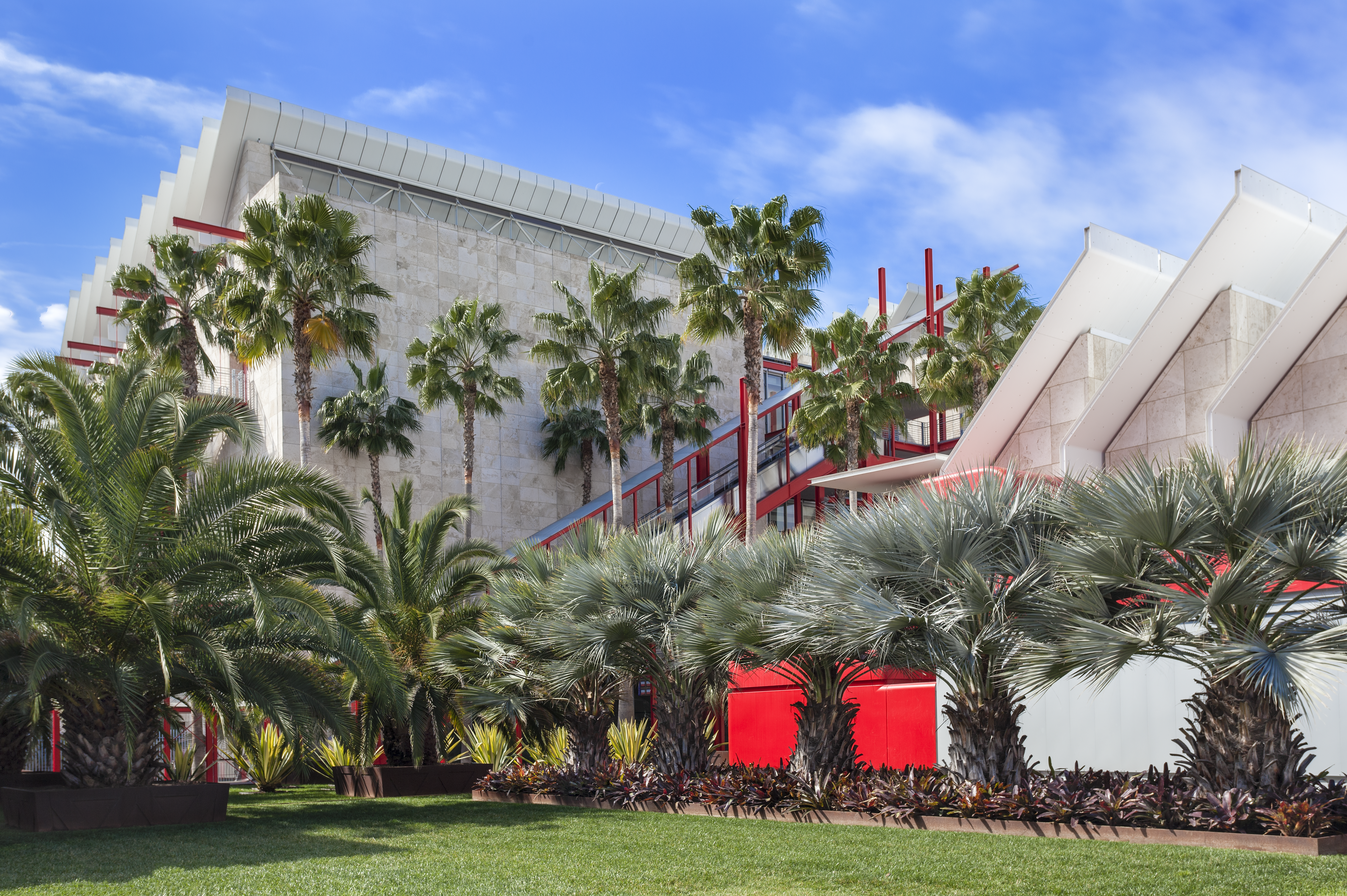 Palm trees of various sizes sit in front of two white-toned buildings, one tall and square, the other with angled roof extensions.
