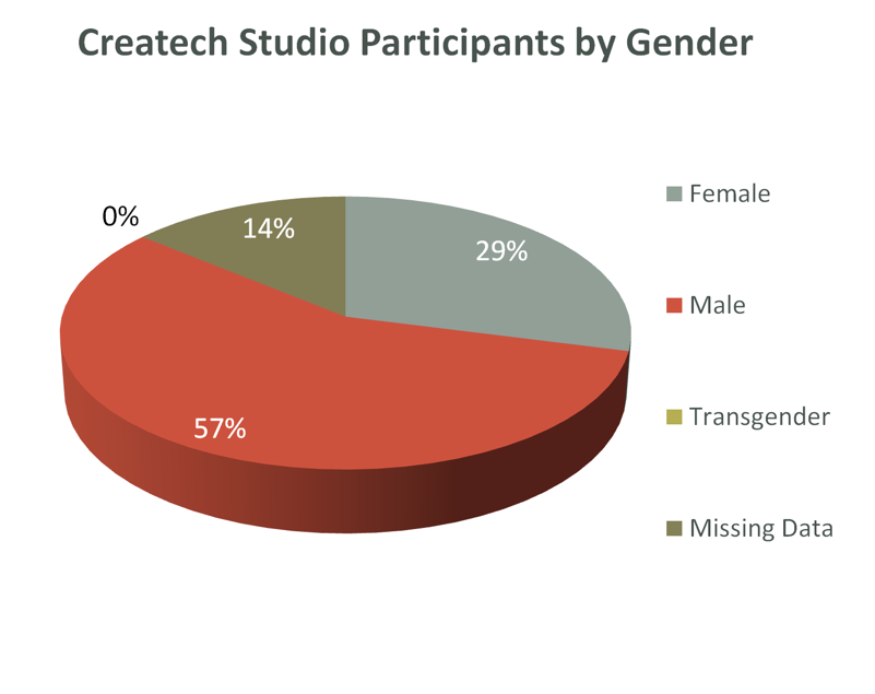 Pie chart showing gender of participants of Createch, a teen program at the Saint Paul Public Library