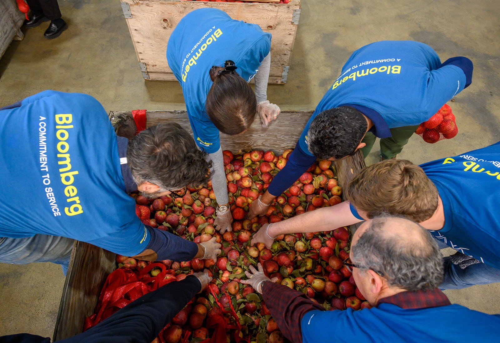 Bloomberg Employees reaching into a barrel of apples as they volunteer with City Harvest in New York.