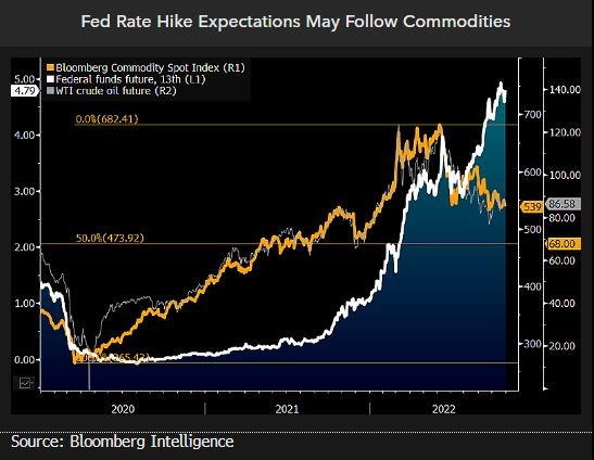 Fed rate hike expectations