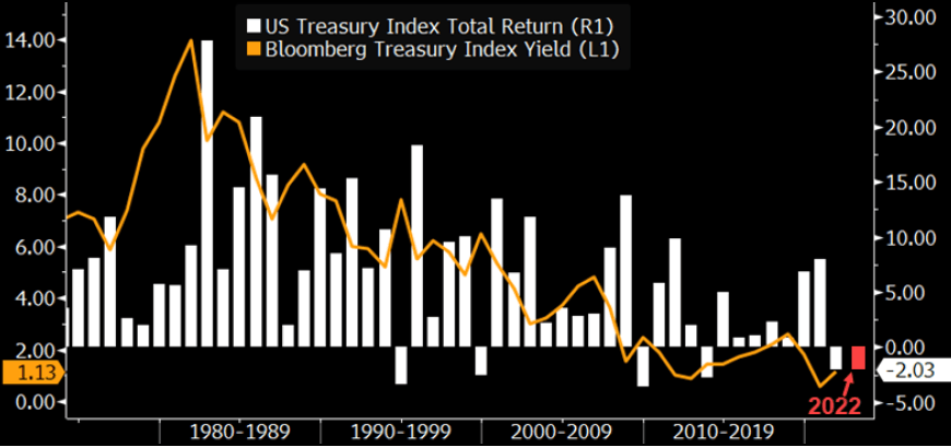 Treasury Index Annual Return
