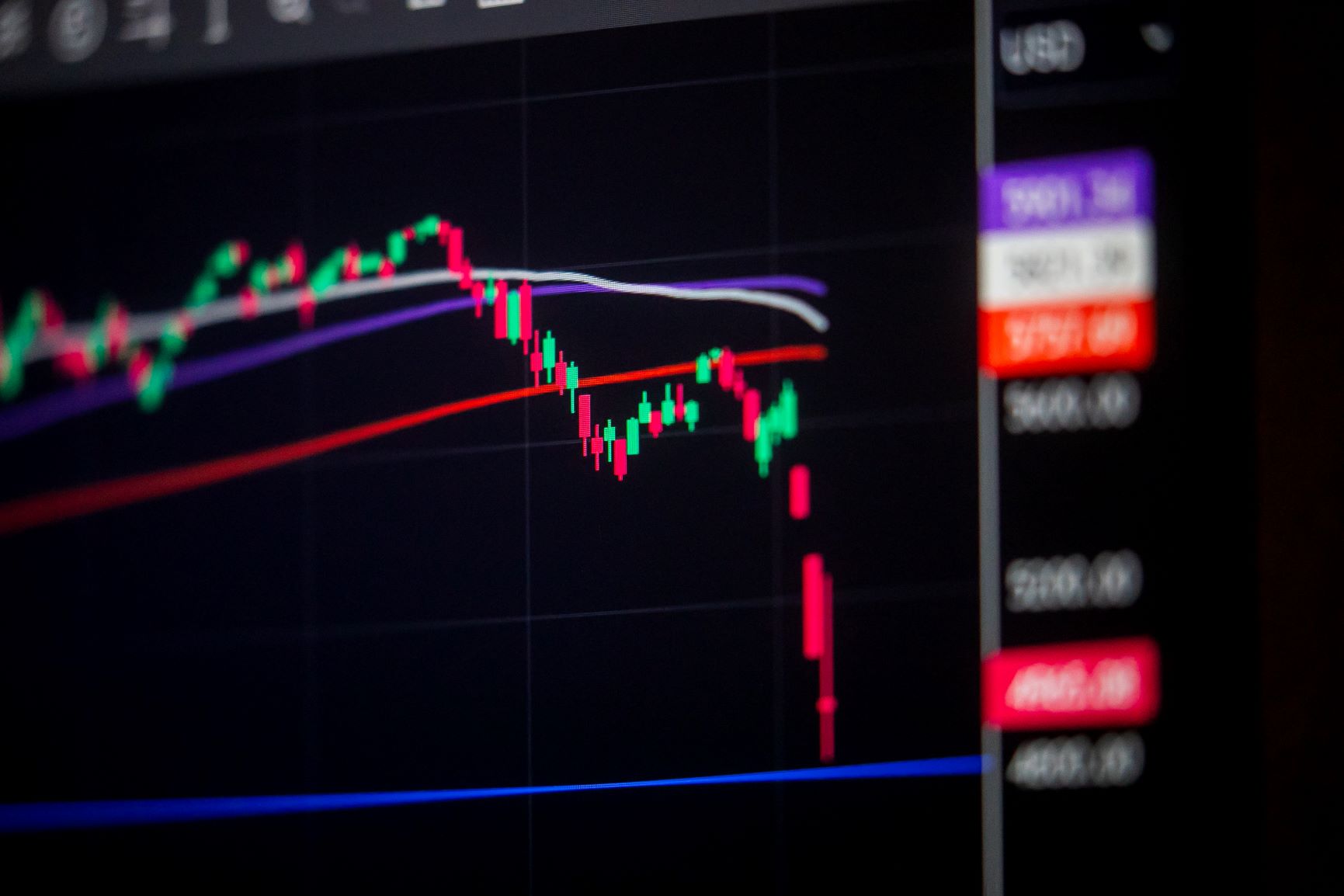 stock chart display