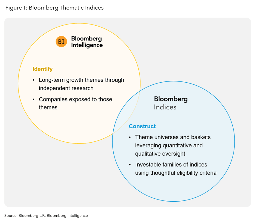 Bloomberg Thematic Indices