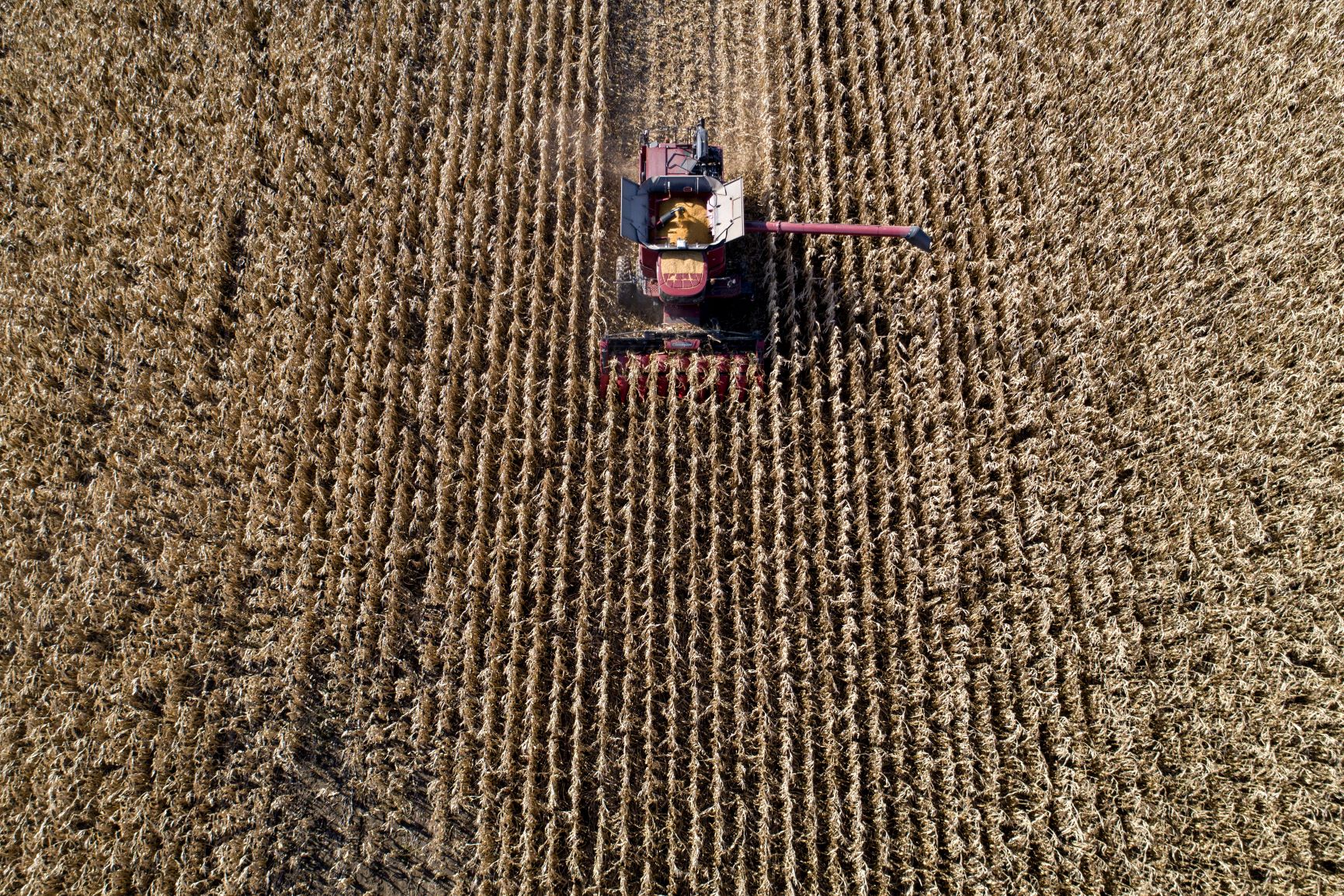 US - Field of crops