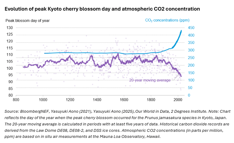 Evolution of peak Kyoto cherry blossom day and atmospheric CO2 concentration