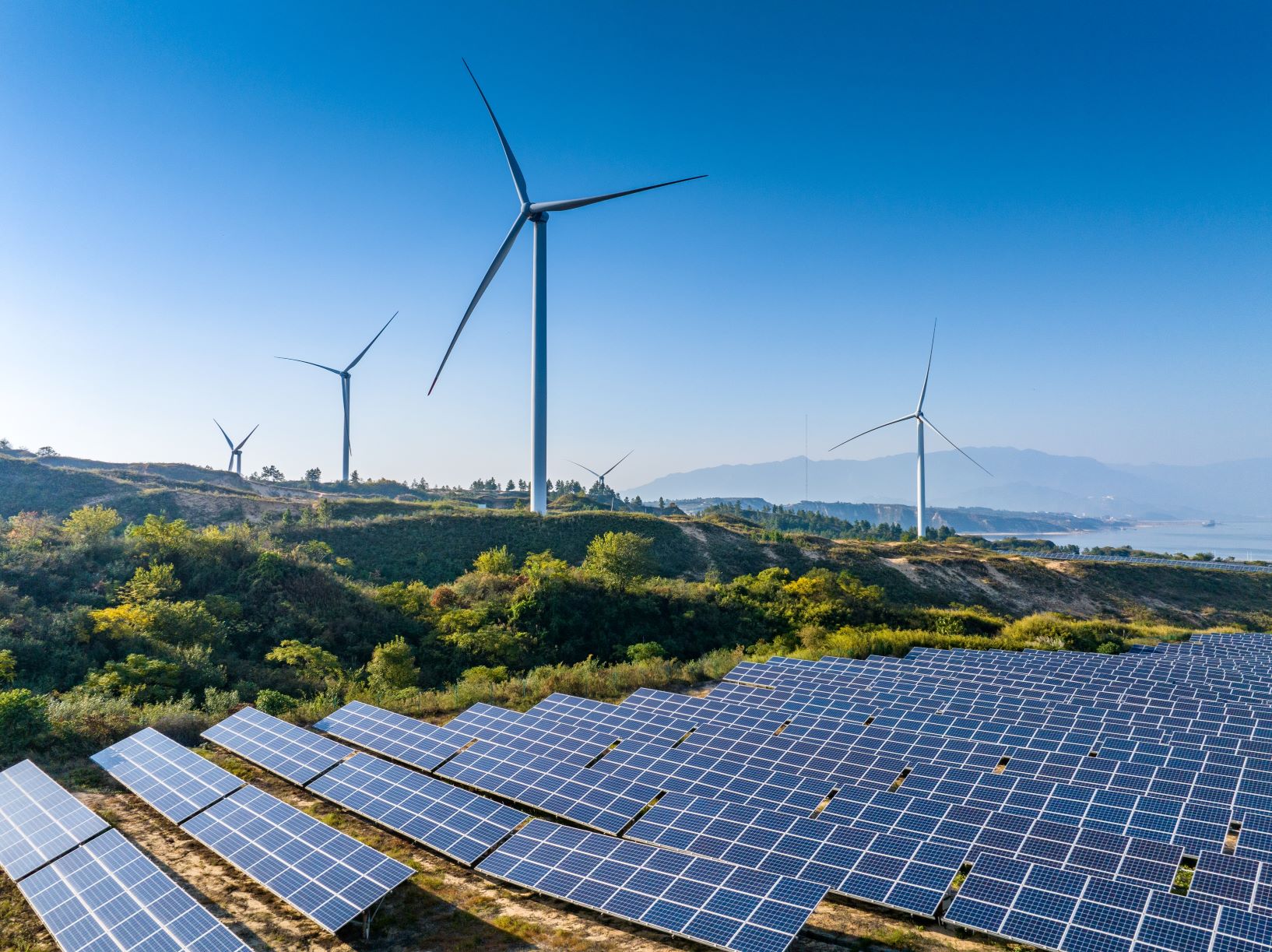solar field and wind turbines