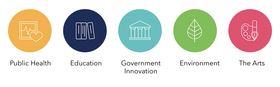 Public Health | Education | Government Innovation | Environment | The Arts