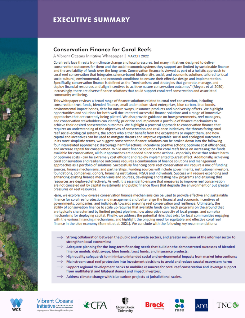 Sustainable financing for coral reef conservation