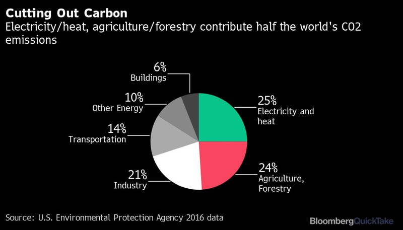 Chart about electricity/heat, agriculture/forestry contribute half the world's CO2 emissions