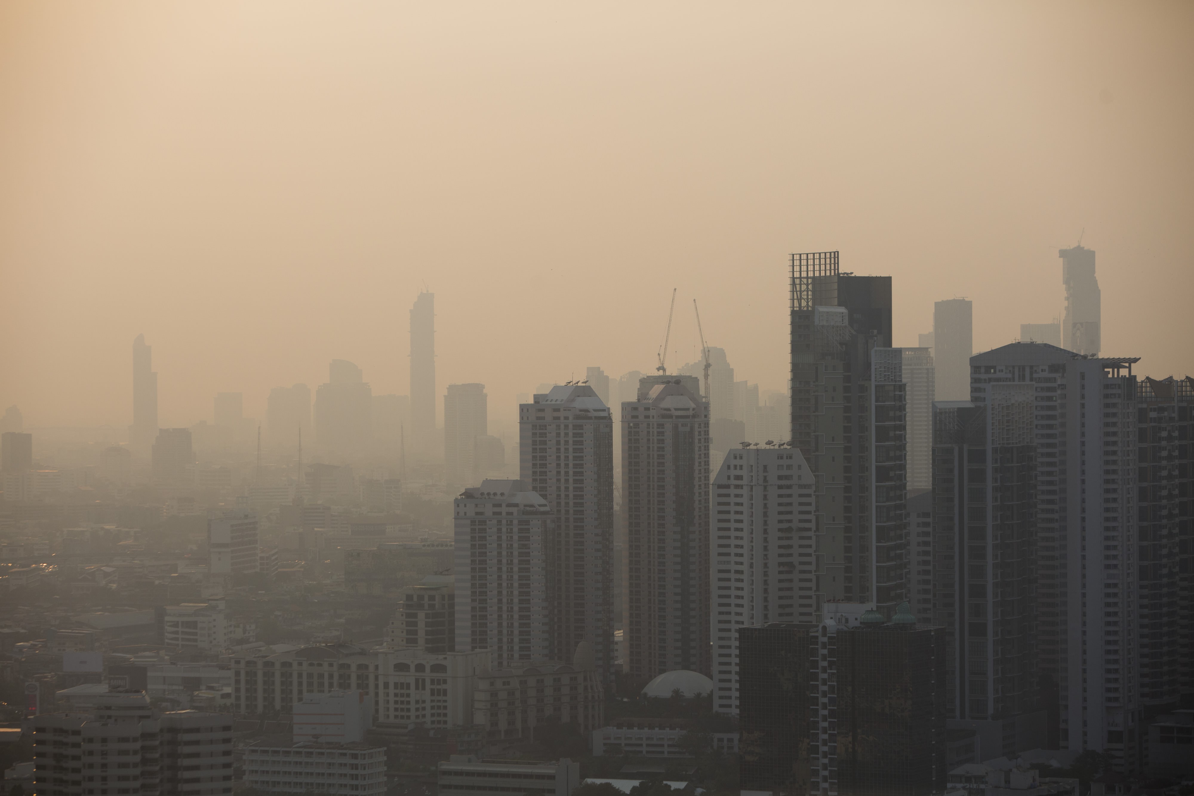 New pollution limits putting additional costs on coal power | Insights | Bloomberg Professional Services