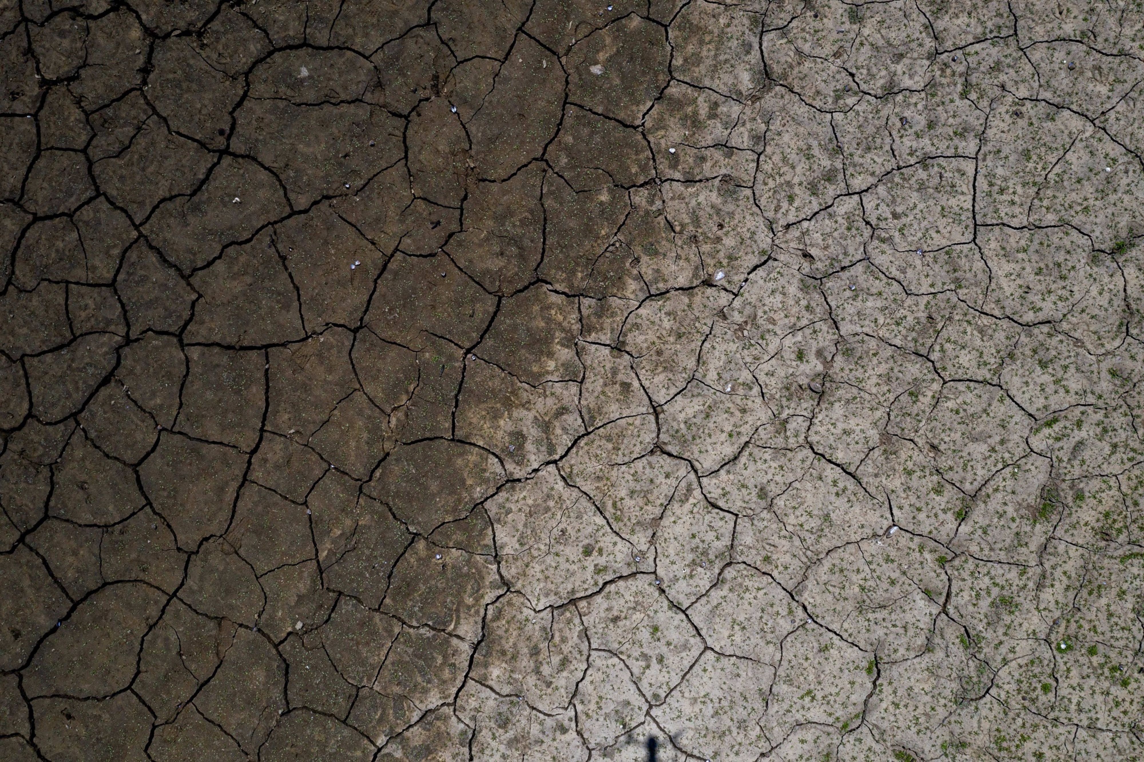 BNP defends  billion ESG call as downgrades feed controversy | Insights | Bloomberg Professional Services