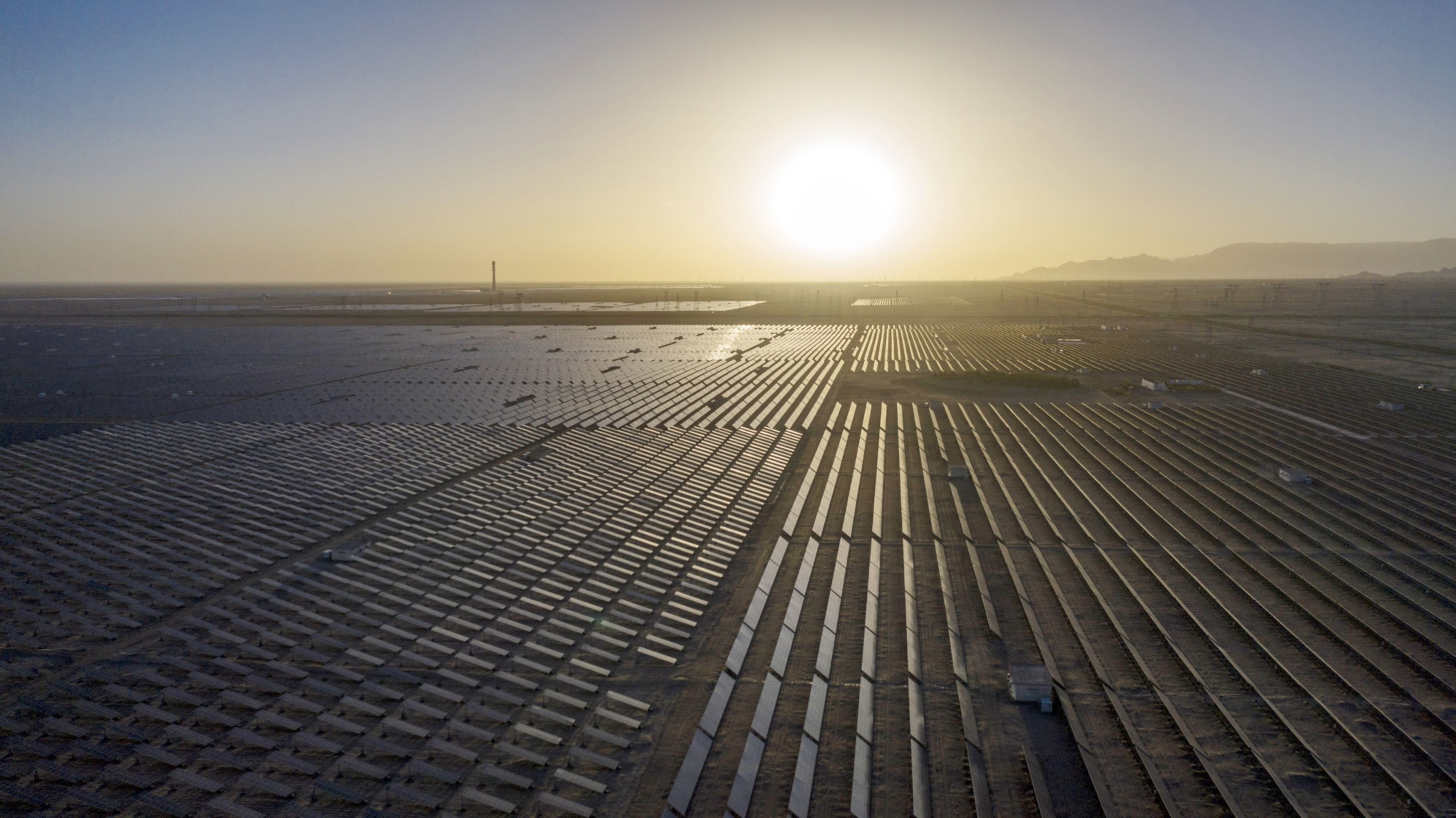 ESG funds: What makes for good performance? | Insights | Bloomberg Professional Services