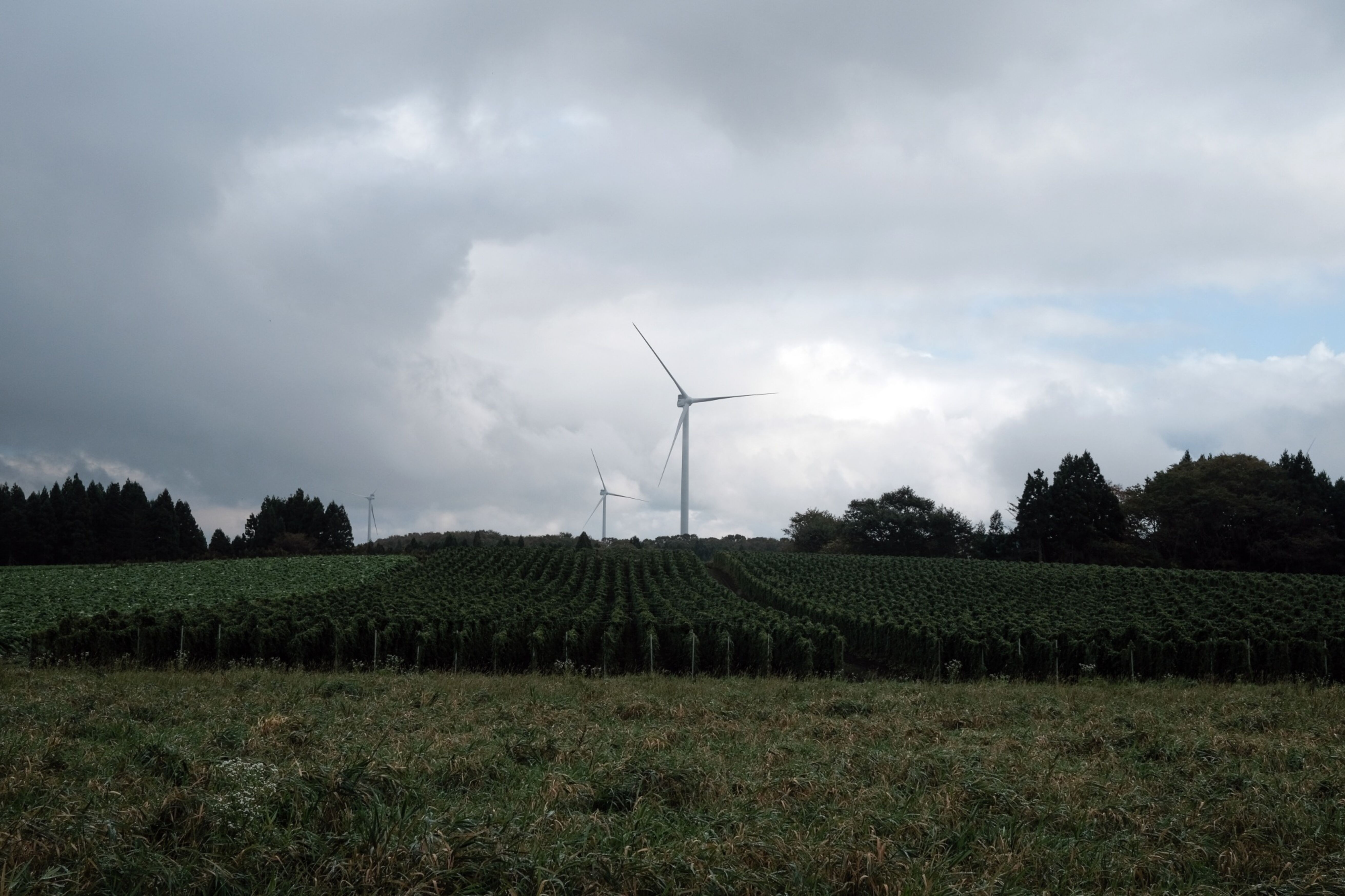 0 billion climate funds may seek article 9 | Insights | Bloomberg Professional Services