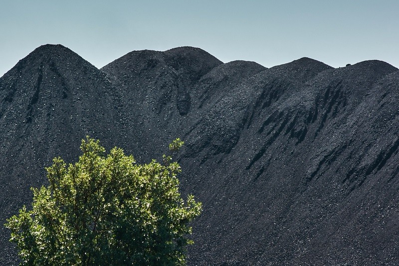Driving APAC’s decarbonization agenda | Insights | Bloomberg Professional Services