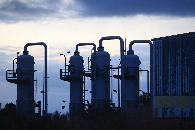 Long-term carbon offsets outlook 2023 | Insights | Bloomberg Professional Services