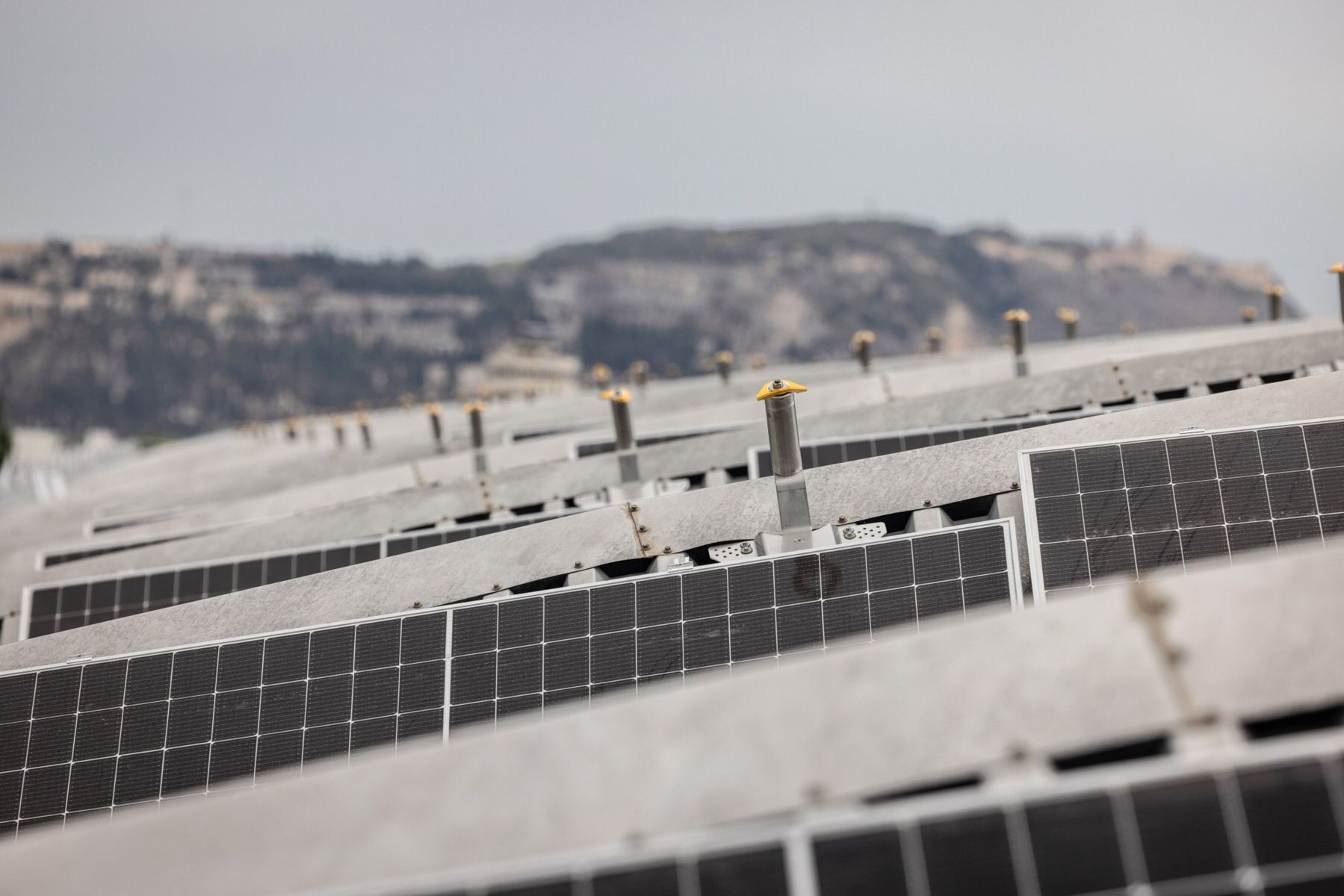 Global Regulatory Brief: Green finance, August edition | Insights | Bloomberg Professional Services