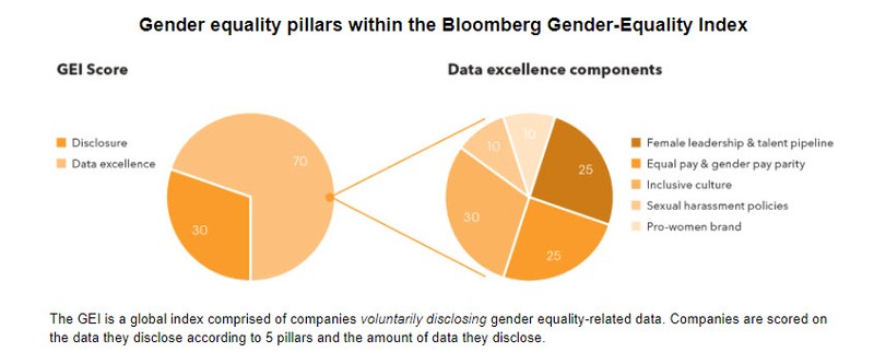 Gender equality pillars