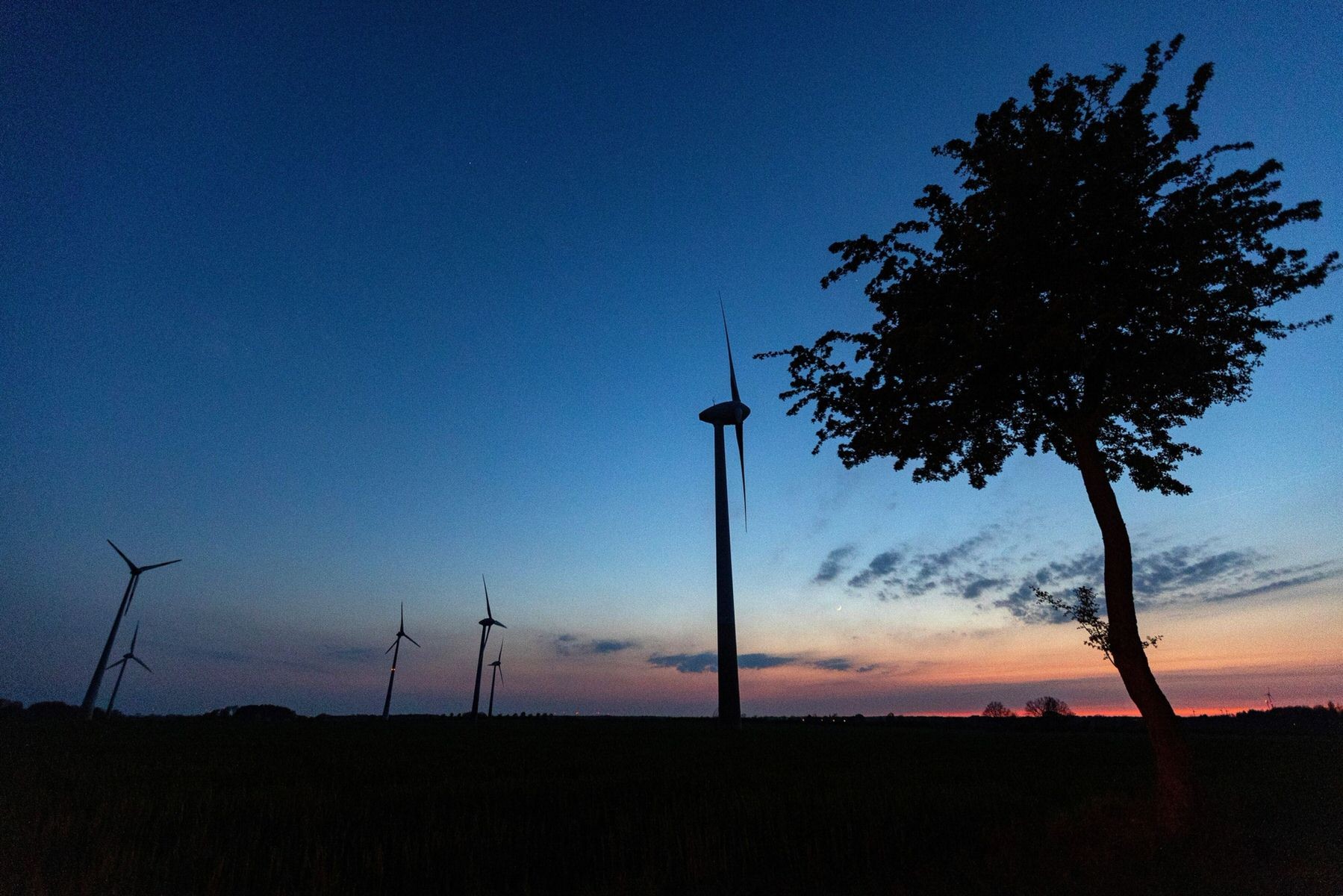 Global Regulatory Brief: Green finance, October edition | Insights | Bloomberg Professional Services