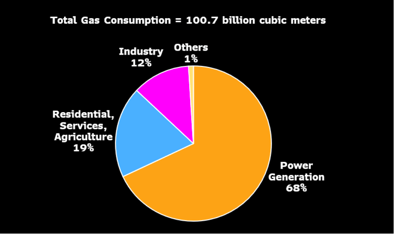 Japan's Natural Gas Consumption Breakdown (2021)